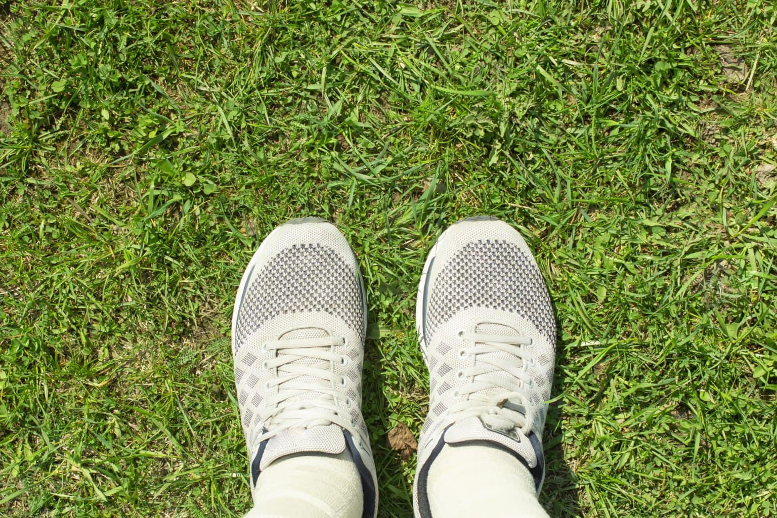 🌙 Best Grounding Shoes of 2022